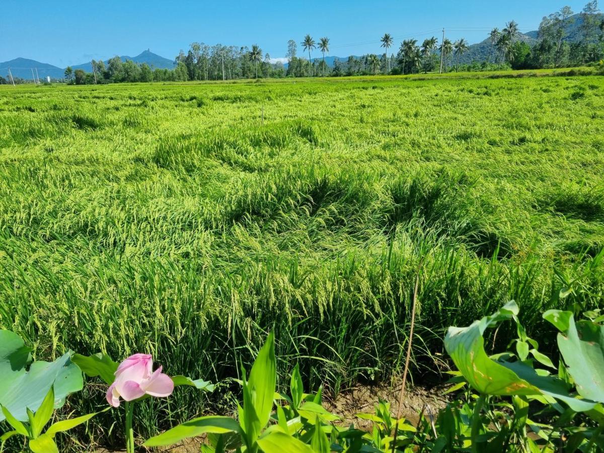 Katie'S Homestay Dong My エクステリア 写真