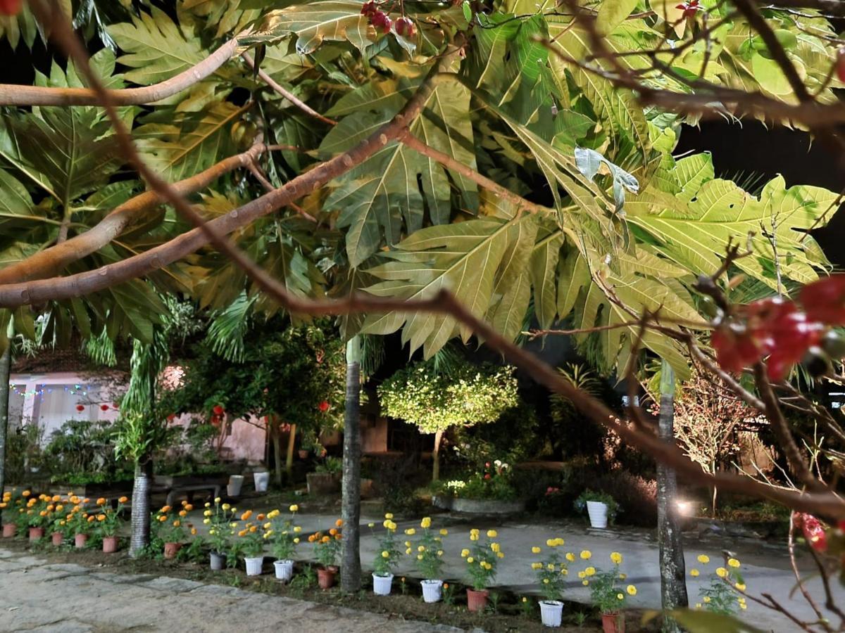 Katie'S Homestay Dong My エクステリア 写真