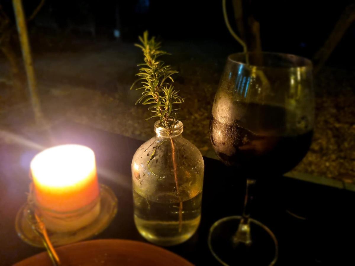 Katie'S Homestay Dong My エクステリア 写真