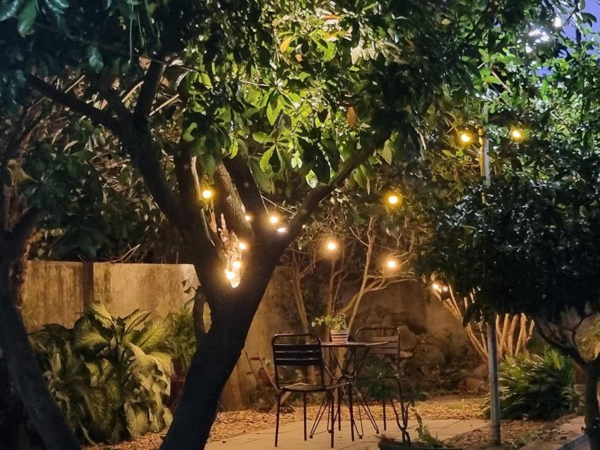Katie'S Homestay Dong My エクステリア 写真