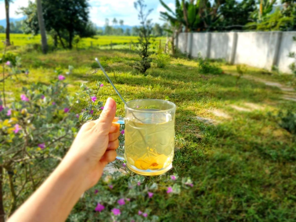 Katie'S Homestay Dong My エクステリア 写真