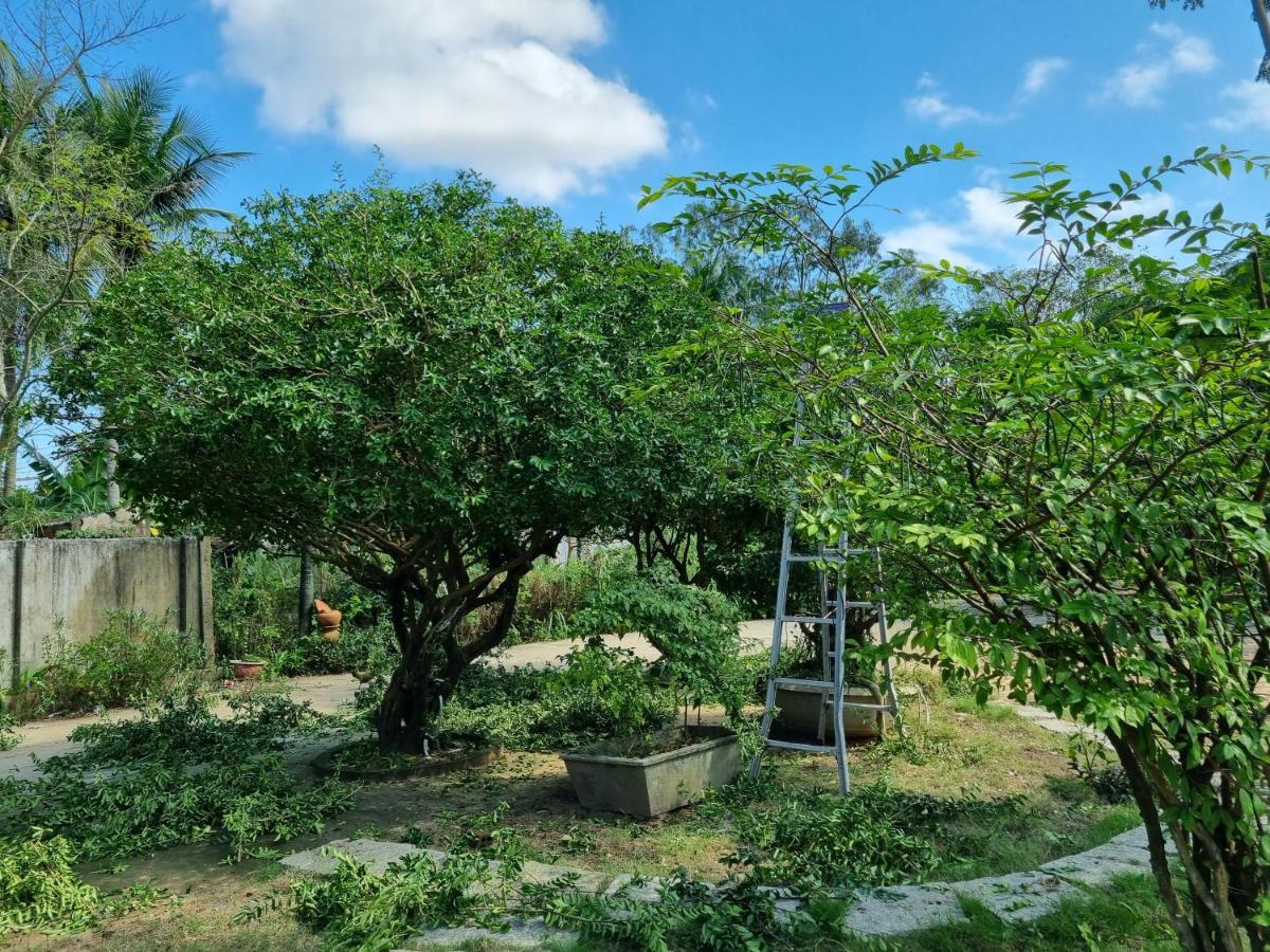 Katie'S Homestay Dong My エクステリア 写真