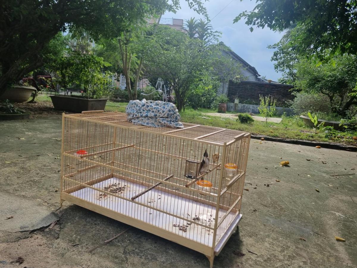 Katie'S Homestay Dong My エクステリア 写真